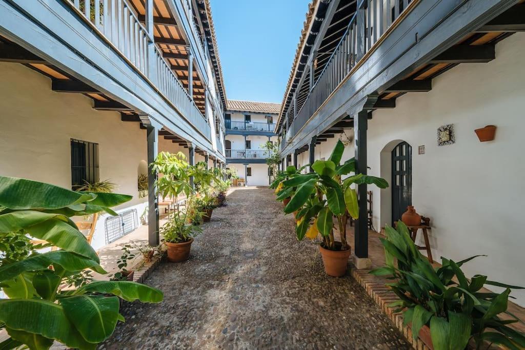 New Apartment In Traditional Building Of The XVI Century Siviglia Esterno foto